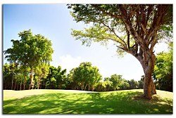 Obraz na stenu ZS - bez pomeru strán